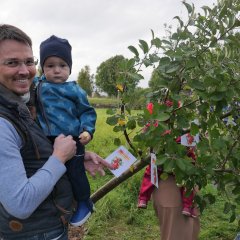 Marcus Engelhardt befestigte für seinen kleinen Sohn Theo, der am 12.06.2020 das Licht der Welt erblickte, dessen Namenskärtchen am „Geburtsapfelbaum“. 