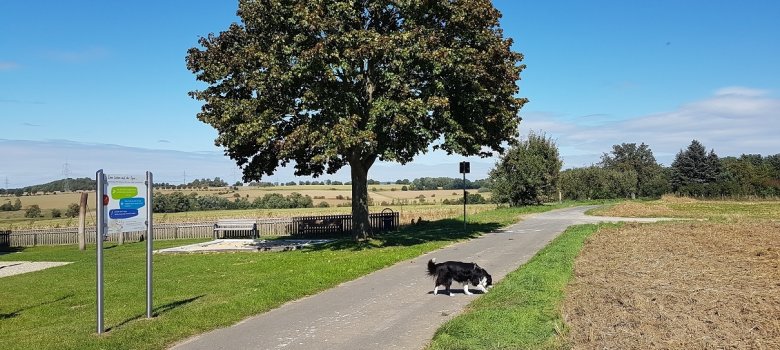 Start des Impulswegs in Vollmarshausen, Unterster Weg.