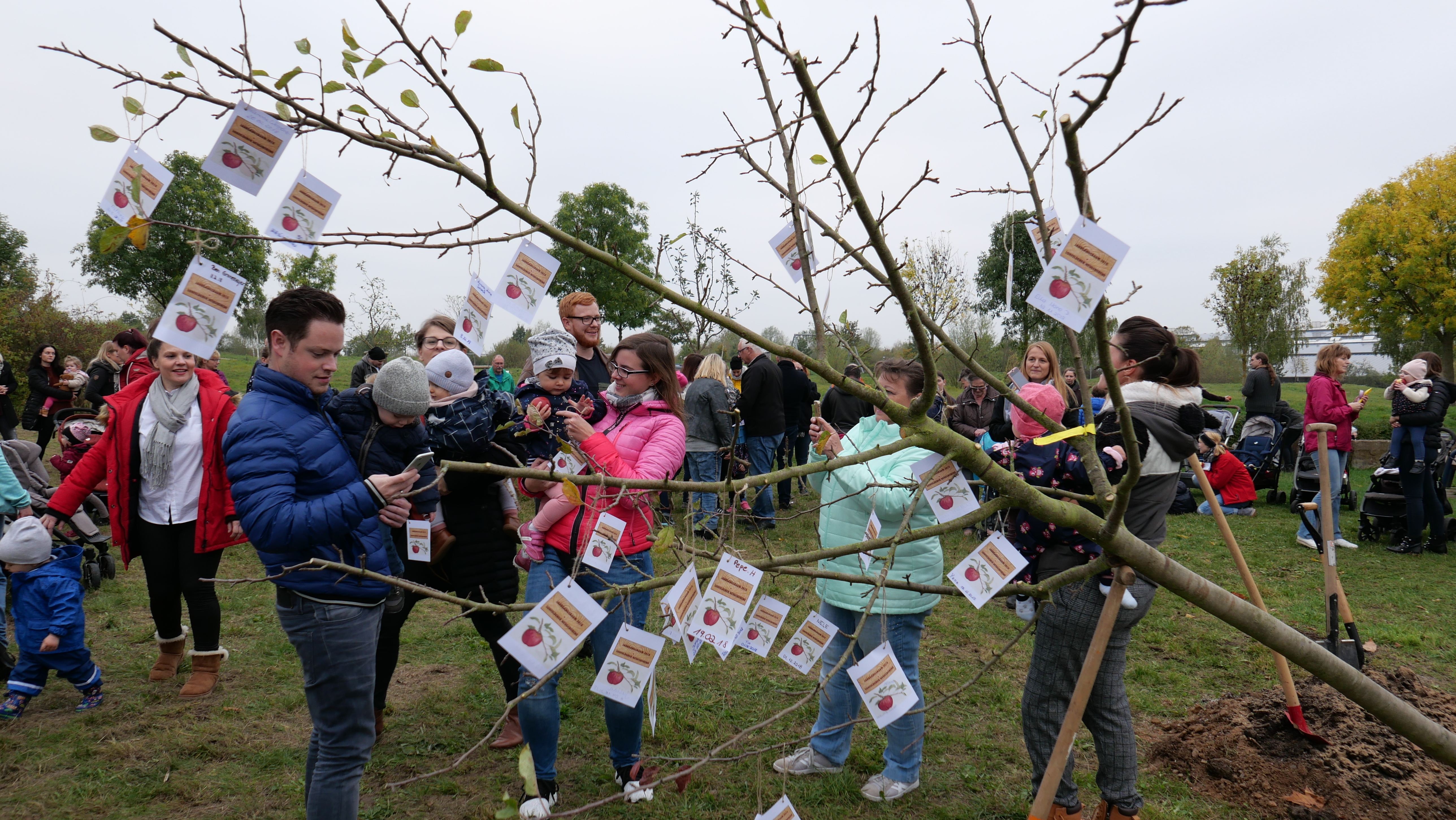 Auf dem Foto sieht man die Namenschildchen der Kinder eines Jahrgangs, die jeweils jedes Jahr im Oktober an den Geburtstapfelbaum gehängt werden, der in Lohfeldens Grüner Mitte gepflanzt wird.