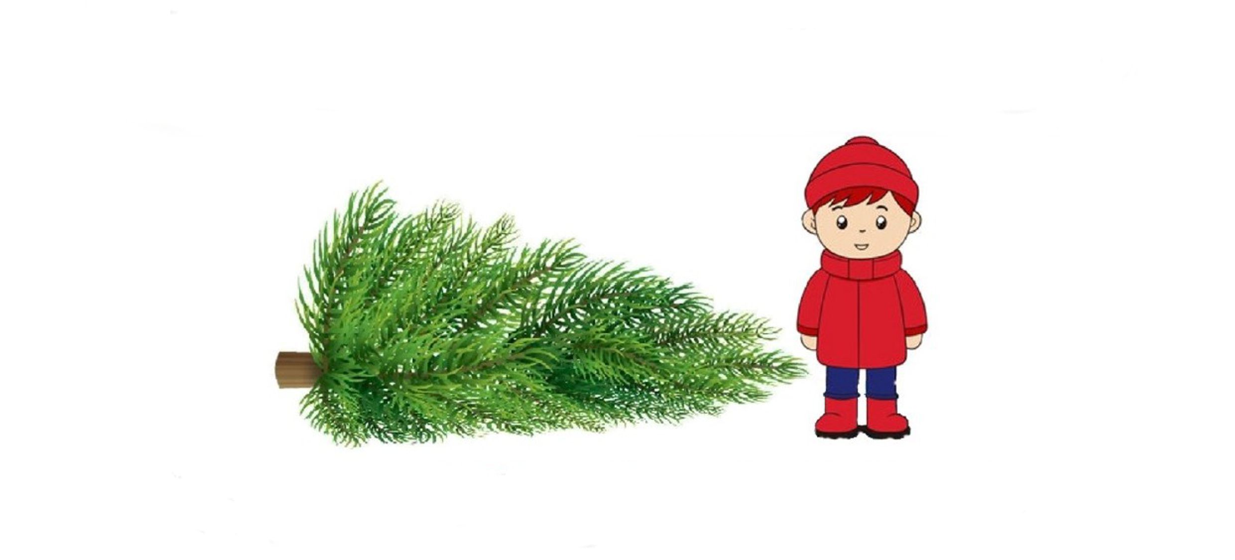 Weihnachtsbaumaktion - bitte unterstützen Sie die örtliche Jugendarbeit! Weihnachtsbaumaktion - bitte unterstützen Sie die örtliche Jugendarbeit!