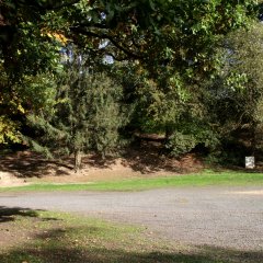 Blick Festplatz "Unter den Eichen", im Vordergrund der geschotterte Platz, im Hintergrund die Eichen.