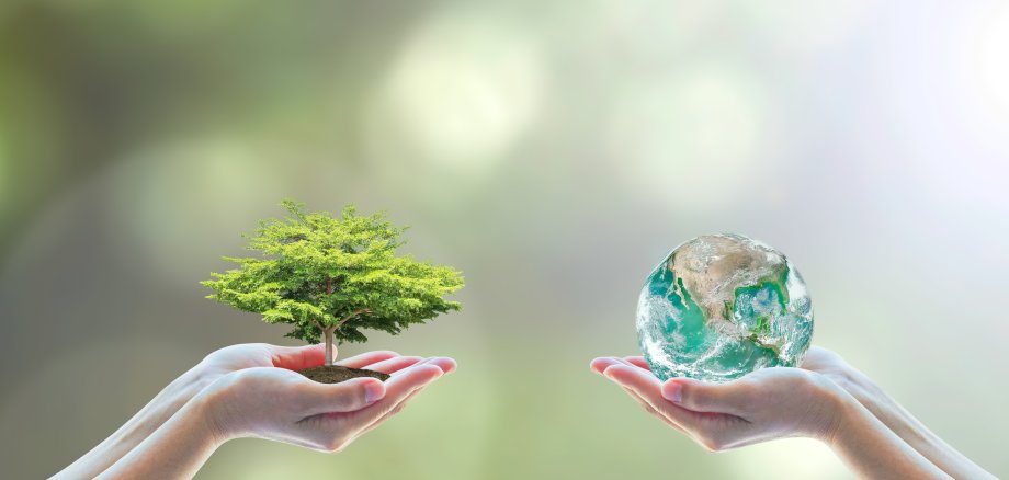 Two people human hands holding/ saving growing big tree on soil eco bio globe in clean CSR ESG natural sunlight background World environment day go green concept Element of the image furnished by NASA