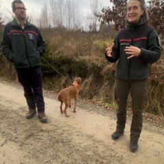 Mann, Frau und Hund auf einem Waldweg.