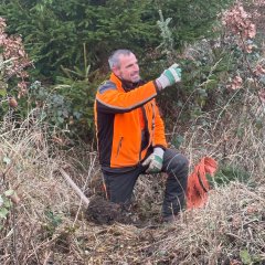 Mann in oranger Arbeitskleidung präsentiert eine kleine Küstentanne.