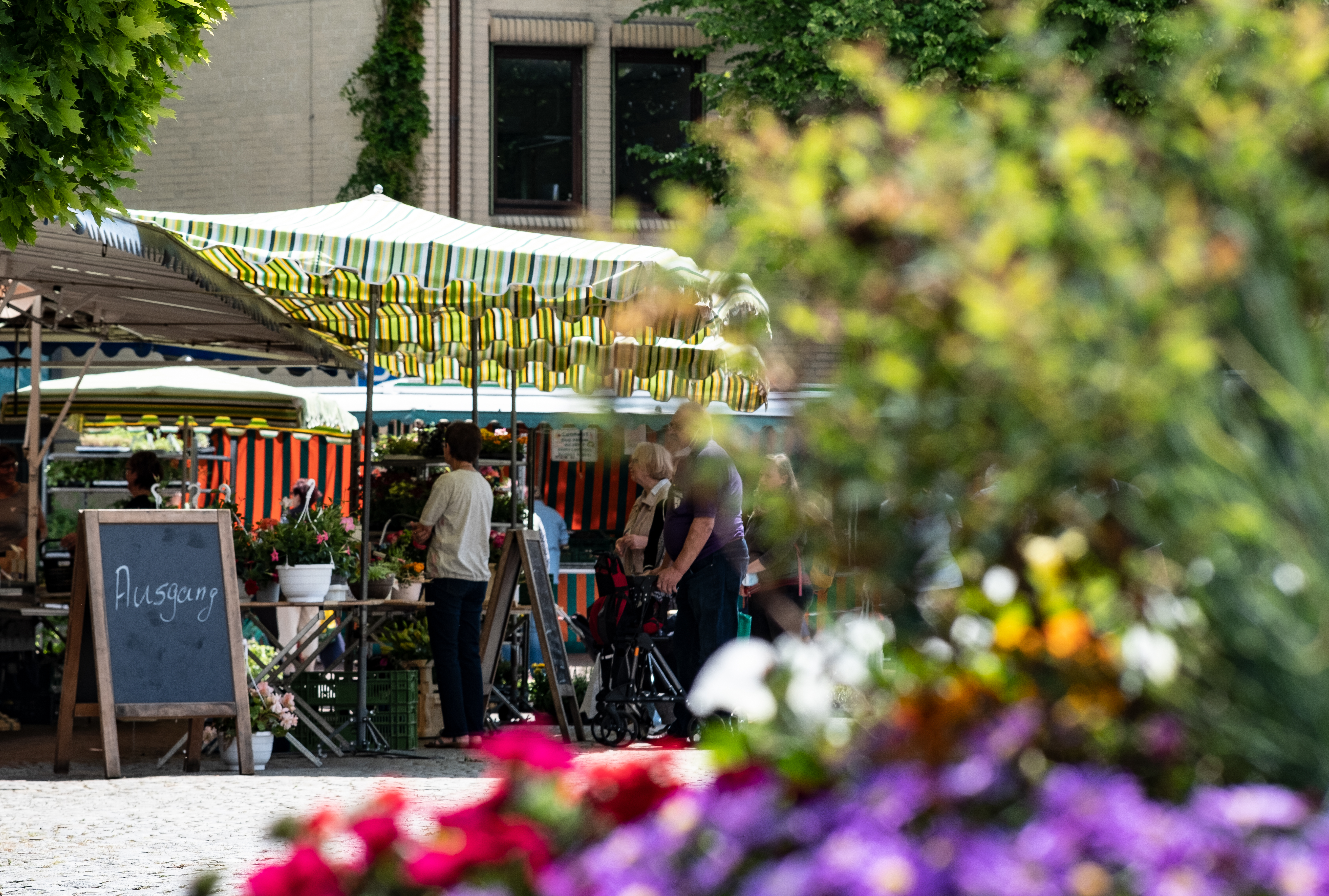 Freitags ist Markt in Lohfelden!
