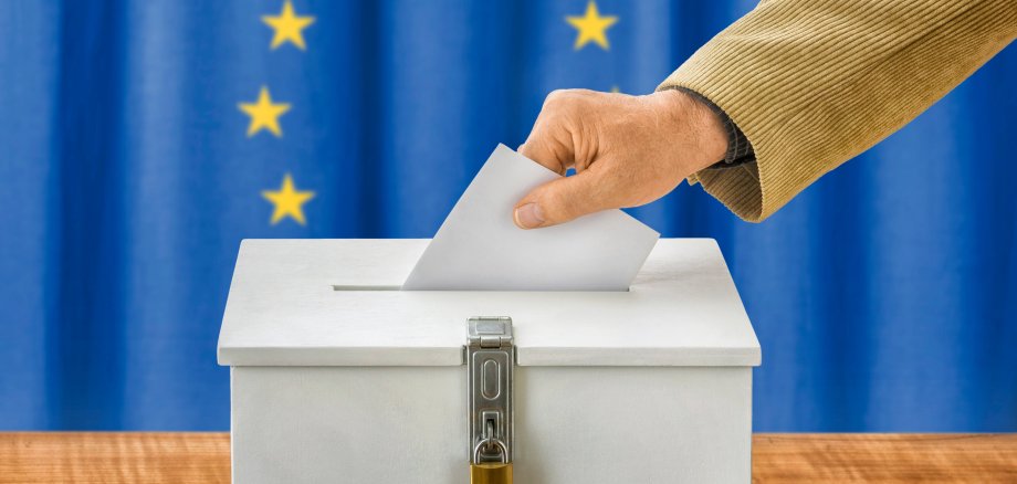 Am 9. Juni 2024 findet die Europawahl statt.