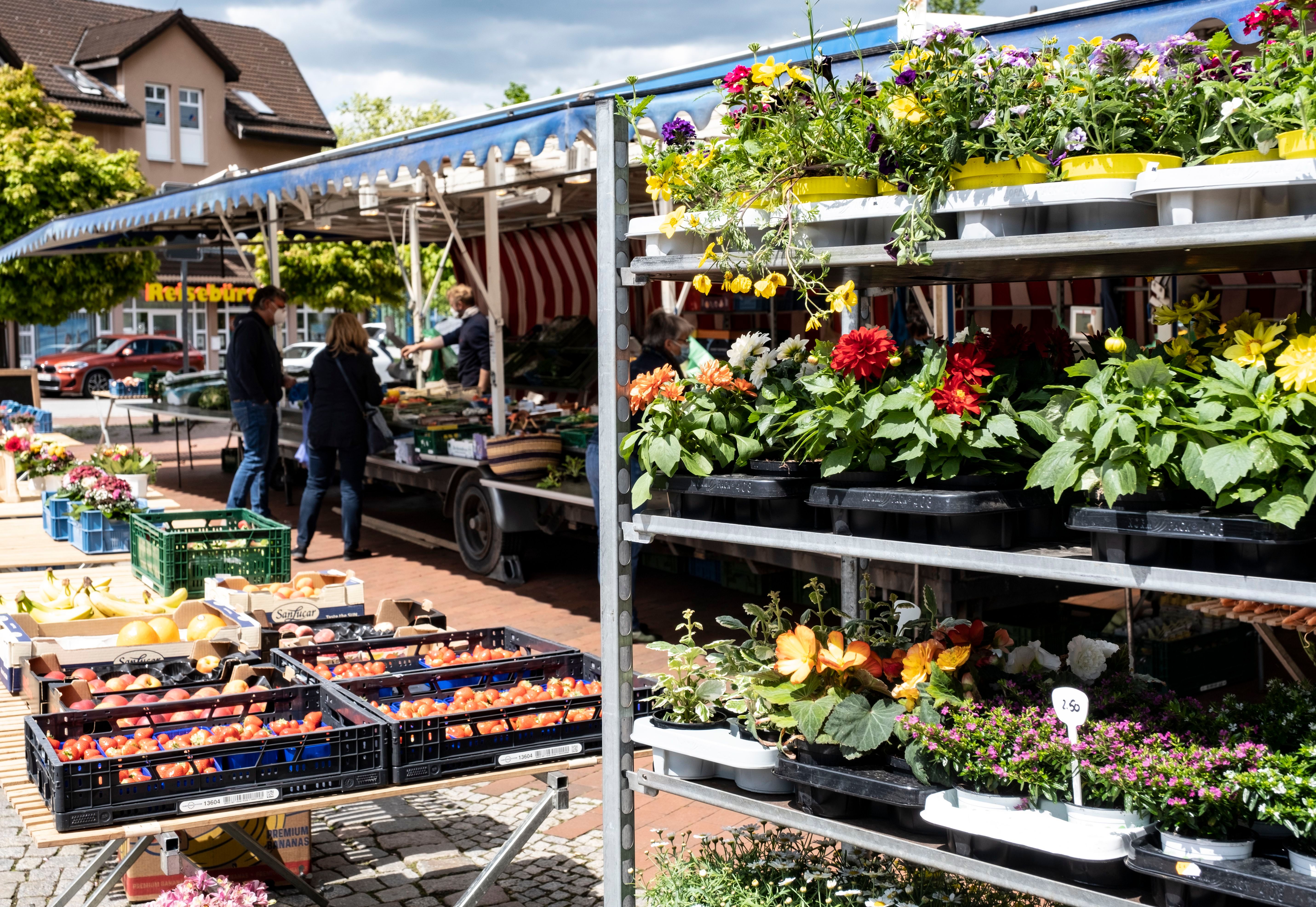 Frohe Ostern! Frohe Ostern!